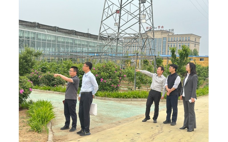 河北证监局监管处辅导光临富联官网发展例行走访调研，领导公司高质量发展